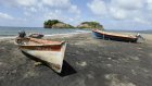 Aux Antilles, la pêche mise à mal par la pollution au chlordécone