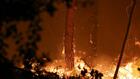 Incendie dans les Landes: reprise de feu dans la nuit, 1.580 hectares brûlés