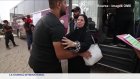Gaza : le système de santé au bord de la rupture