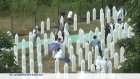 Bosnie : 30 ans du massacre de Srebrenica