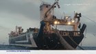 Les super-chalutiers : bras de fer avec les pêcheurs artisans