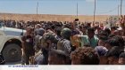 Bande de Gaza : plus de 500 morts lors des distributions de GHF