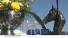 Le Durban July, évènement hippique et culturel majeur en Afrique du Sud