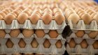 Baisse du prix des œufs en Algérie : un responsable explique les raisons