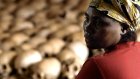 Rwanda : de la Révolution aux prémices du génocide des Tutsi