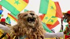 Sénégal: la Fédération de football doit faire face à un profond déficit