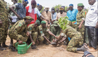 Tambacounda : la Caravane écologique mise sur la survie des arbres