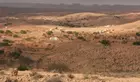 Vers le renforcement de la coopération entre la Tunisie et l'ACSAD