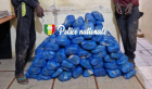 Kaolack : Saisie spectaculaire de 83 kg de chanvre indien par l’OCRTIS