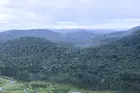 USA: près de 18 millions d’hectares de forêts menacés par une réforme