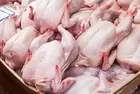 poulet : Le ministère du Commerce fixe le prix maximal de vente