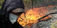 En Algérie, douze morts dans des feux de forêt
