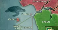 Le Gabon et la Guinée équatoriale signent un accord pour mettre fin à un différend territorial