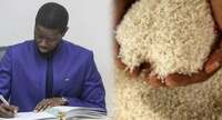 Riz local : L’État du Sénégal fixe le prix à 350 F CFA le kilo pour soutenir les producteurs