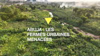 À Abuja, les fermes urbaines menacées par la promotion immobilière