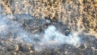 Namibie: l'incendie qui a ravagé le parc Etosha, en partie maitrisé, mais les dégâts sont importants