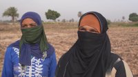 En Egypte, près de 5 millions d'ouvrières agricoles sous-payées et sans contrat