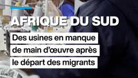 Afrique du Sud : des usines en manque de main d'œuvre après le départ des migrants