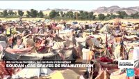 Soudan : de plus en plus de cas de malnutrition sévère au Darfour et au Kordofan