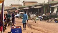 Bénin-Niger: ces «préalables» exigés par Niamey avant une réouverture de la frontière