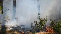 Incendies en Europe: un suspect placé en détention en France, la chaleur et le vent font craindre le pire en Espagne