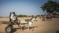 Violences intercommunautaires au Tchad: la conférence des évêques catholiques tire encore la sonnette d'alarme