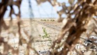 Nigeria: Monguno, place forte face aux attaques des djihadistes