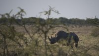 La Namibie envoie des renforts militaires pour combattre un important incendie dans la réserve d'Etosha