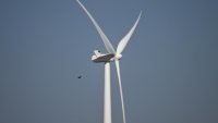 L'Afrique du Sud s'efforce de protéger les oiseaux des éoliennes