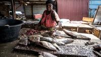 Poissons avariés, commerces au ralenti: les Gambiens exaspérés par les coupures électriques