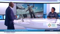 Guinée : la pêche au coeur de l'économie guinéenne