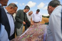 Désengorger et embellir Alger : voici les décisions immédiates du ministre-wali