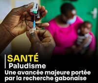 Paludisme : une avancée majeure portée par la recherche gabonaise