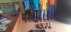 Trois personnes interpellées et six pointes d'ivoire saisies à Ovan