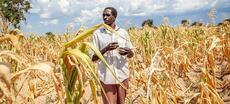 Le Programme alimentaire mondial alerte : 49 millions de personnes supplémentaires menacées de faim d’ici 2027