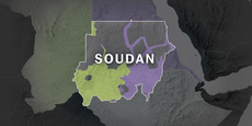 Comment la guerre au Soudan menace toute sa région d’embrasement, en cartes