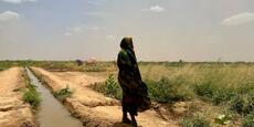En Ethiopie, le changement climatique pousse les éleveurs pastoraux à se convertir à l’agriculture vivrière : «&nbsp;(…)