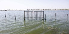 Les riverains du lac Tchad pris en étau entre Boko Haram et la montée des eaux