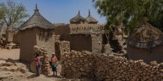 Burkina Faso, Mali, Niger : 7,5 millions de personnes en « insécurité alimentaire sévère », alerte une ONG américaine