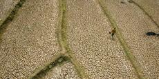 El Niño : l’ONU prévoit un phénomène « de très forte intensité » jusqu’en février 2027
