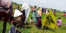 Au Nigeria, au moins 24 morts dans des attaques communautaires dans l’Etat du Plateau