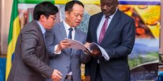 Un portail pour renforcer la transparence dans le secteur minier