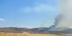 Jendouba : Incendie dans la forêt de Jbel Bourbah à Oued Meliz