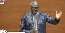 Mabouba Diagne s’explique : « Voici ma stratégie pour atteindre la souveraineté alimentaire »