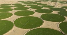 Timimoun : le méga-projet céréalier algéro-italien entre en phase active