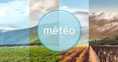 La météo en Algérie ce dimanche 22 juin : l’été s’installe, à quel temps faut-il s’attendre ?