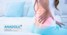Soulager le mal de dos : Identifier les raisons de la douleur et trouver des remèdes