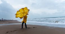Météo du mercredi 24 septembre : pluies, orages et vigilance sur plusieurs wilayas