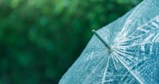 Début de semaine en Algérie : pluies, orages et vague de chaleur en vue ce dimanche 3 août