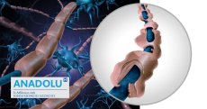Sclérose en plaques (SEP) : causes, symptômes, évolution, traitement… le guide complet